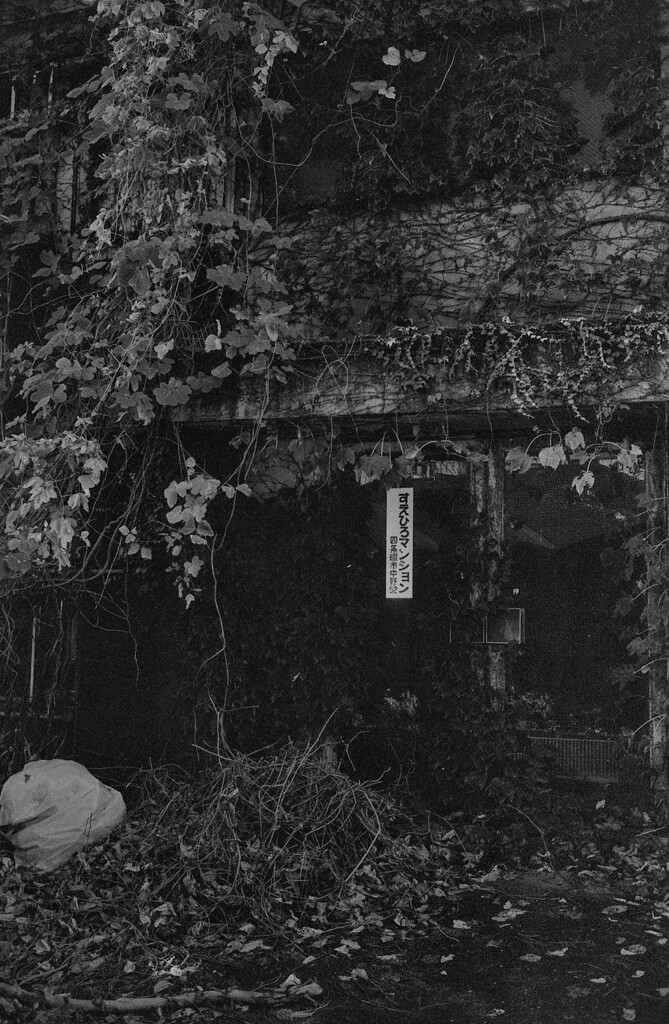 幾年月