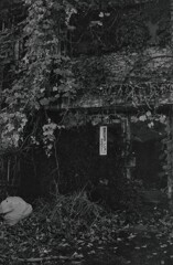 幾年月