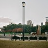 晩秋の大阪城公園３