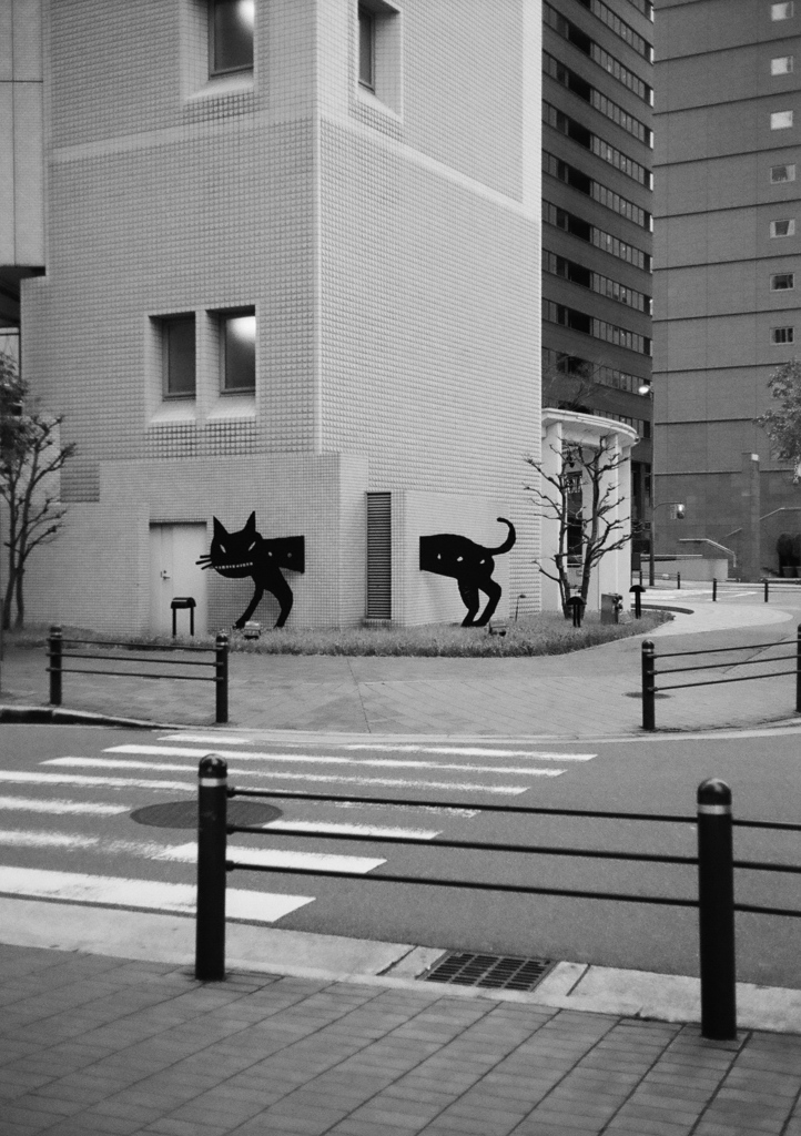 通り抜け