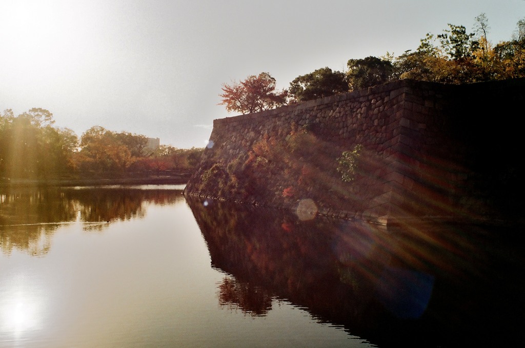 晩秋の大阪城公園１０