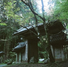秋の談山神社3