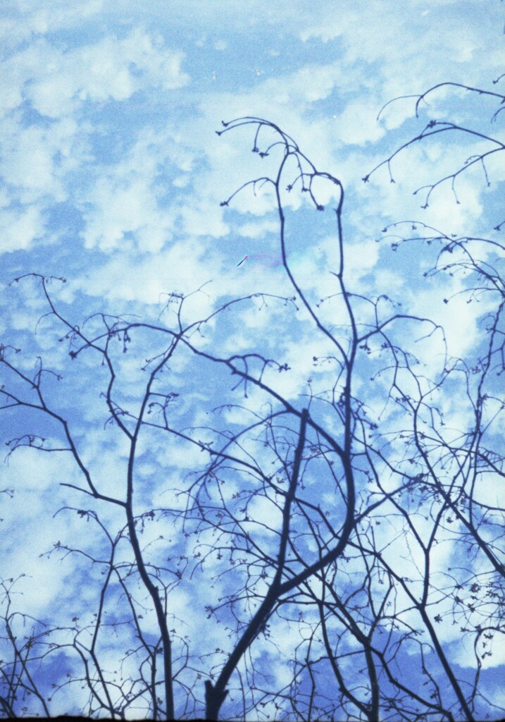 筆塗りの空
