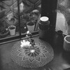 薔薇の花