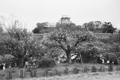 梅と御城