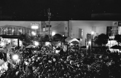 フェス