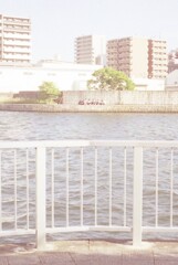 対岸の若人たち