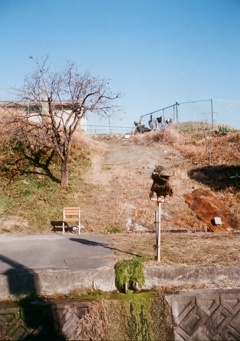 こんな所にキョエちゃん