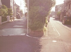 二股の間