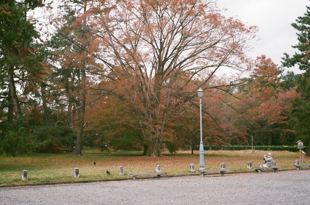 秋の京都御所4