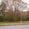 秋の京都御所4
