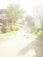 ポーぽっぽっぽ