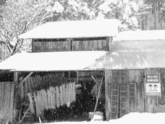 ヤン坊マー坊　天気は大雪