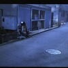 オキザリイス