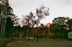 晩秋の大阪城公園１