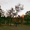 晩秋の大阪城公園１