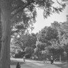休日の公園