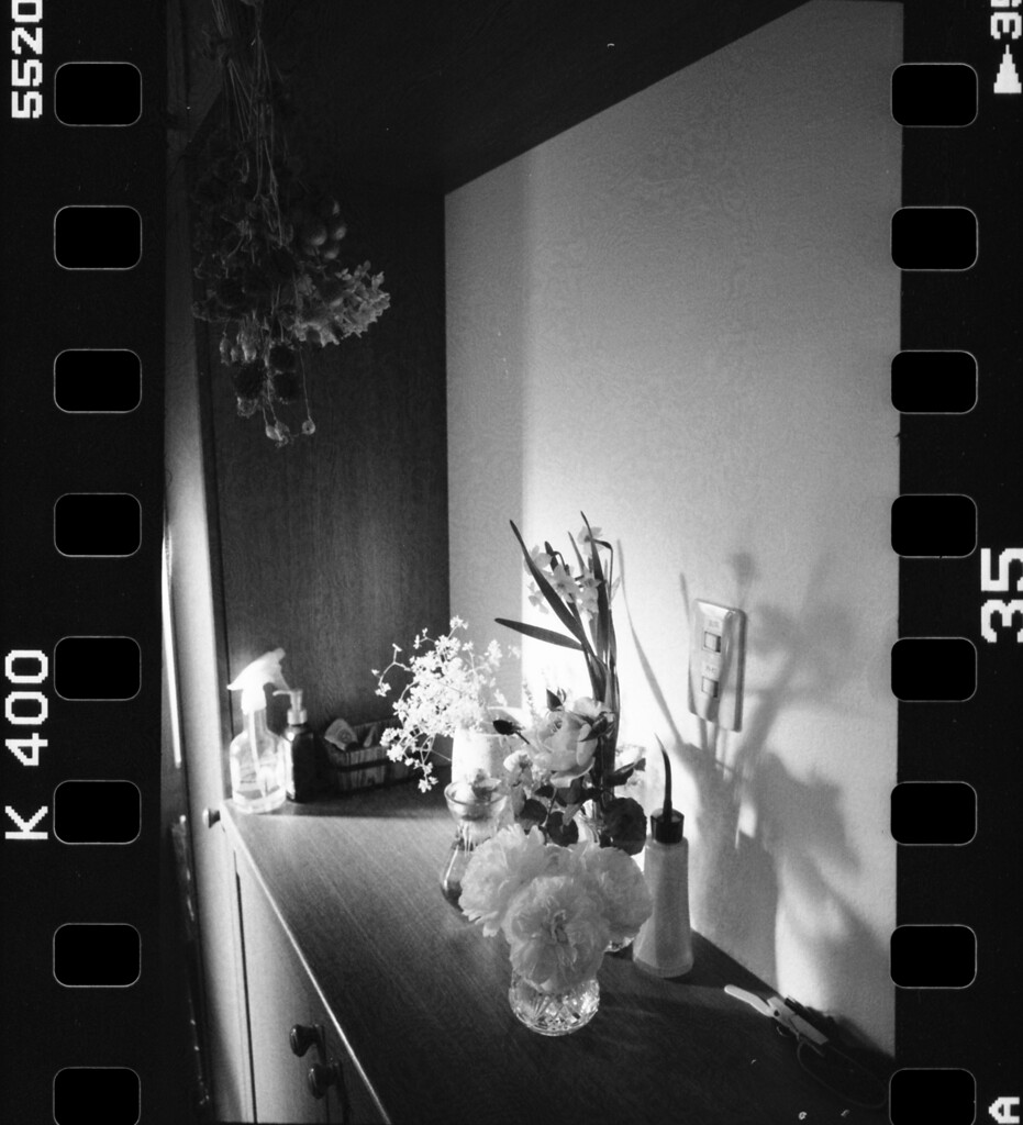 玄関の花
