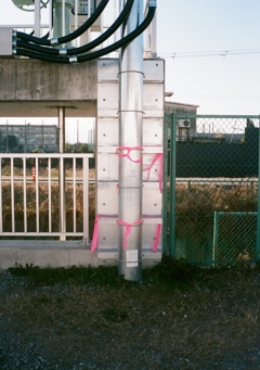 ピンクのリボン