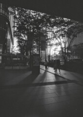 斜陽