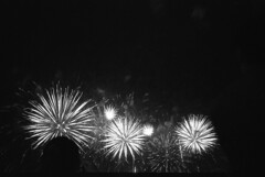 夜空に花