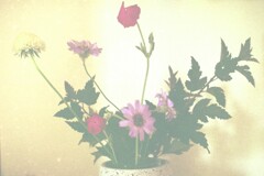 生け花