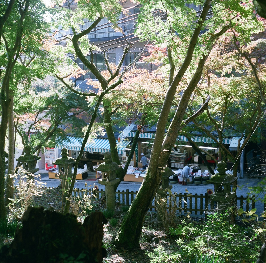 秋の談山神社5