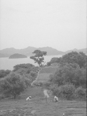 丘の上から（志々島）