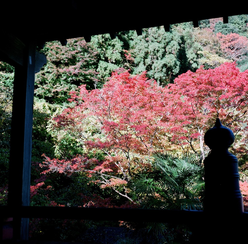 秋の談山神社1