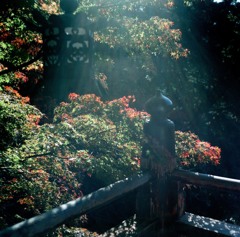 秋の談山神社6