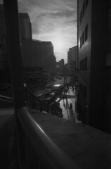 斜陽