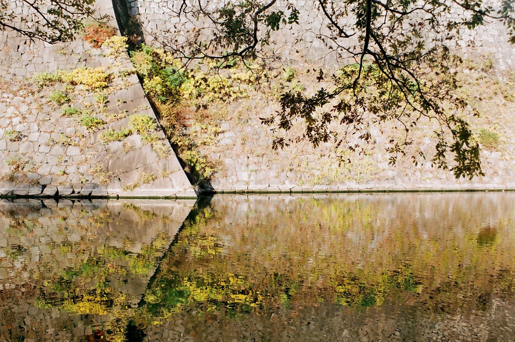 晩秋の大阪城公園９