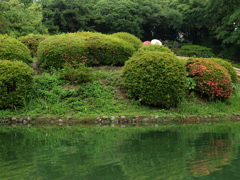 紅白和傘（栗林公園）