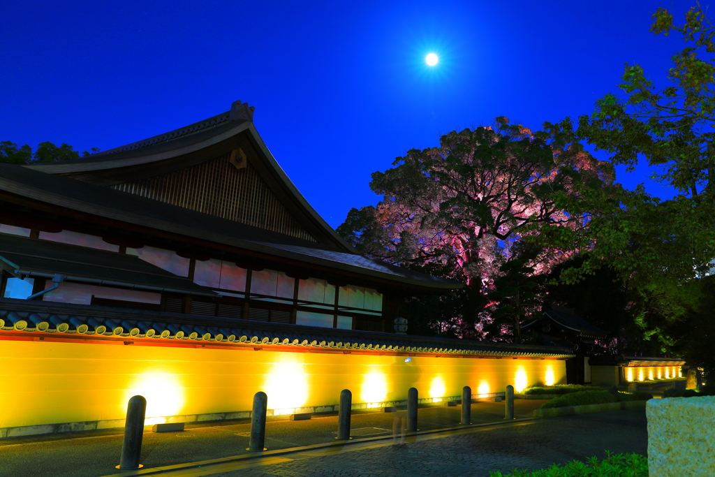 博多の夜