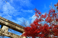 赤と青