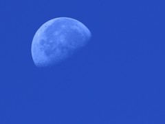 昼間の月