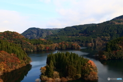 紅葉を見にいって2
