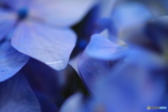 雨の残り