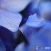 雨の残り