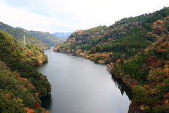 紅葉を見にいって