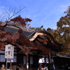 深大寺の秋