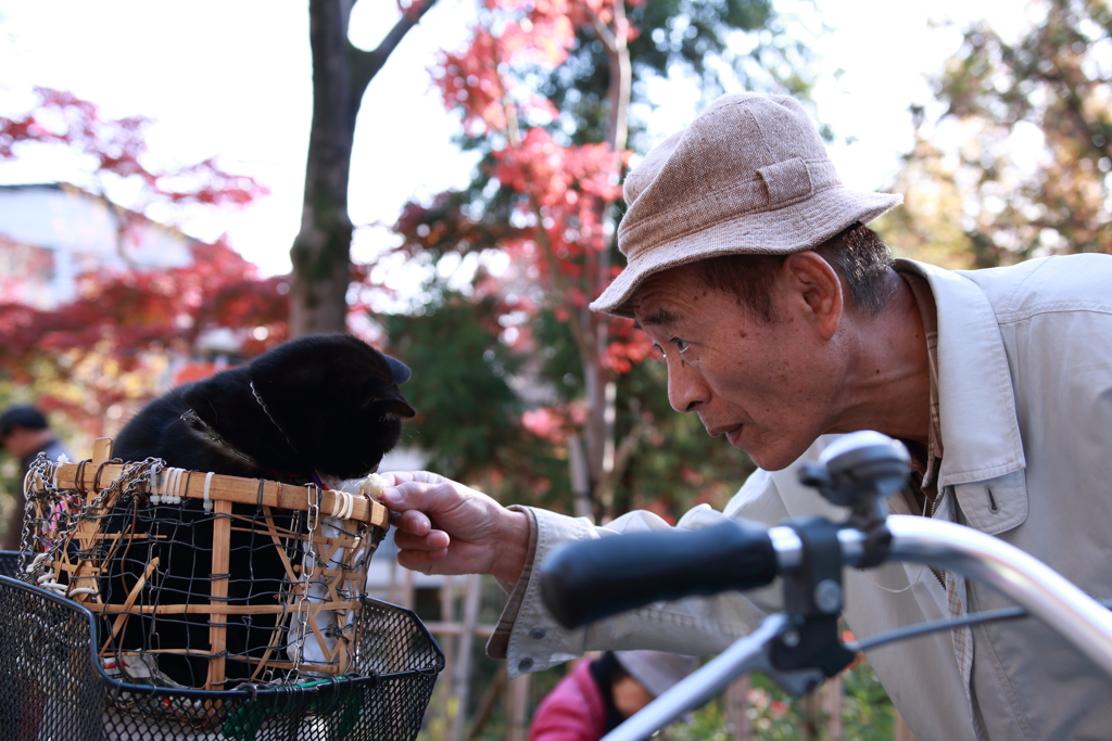 おじさんと猫