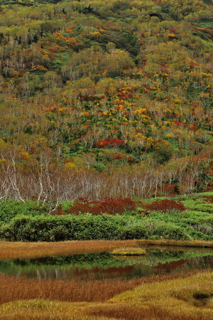 山はもう秋色１