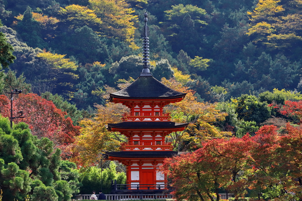 清水寺１