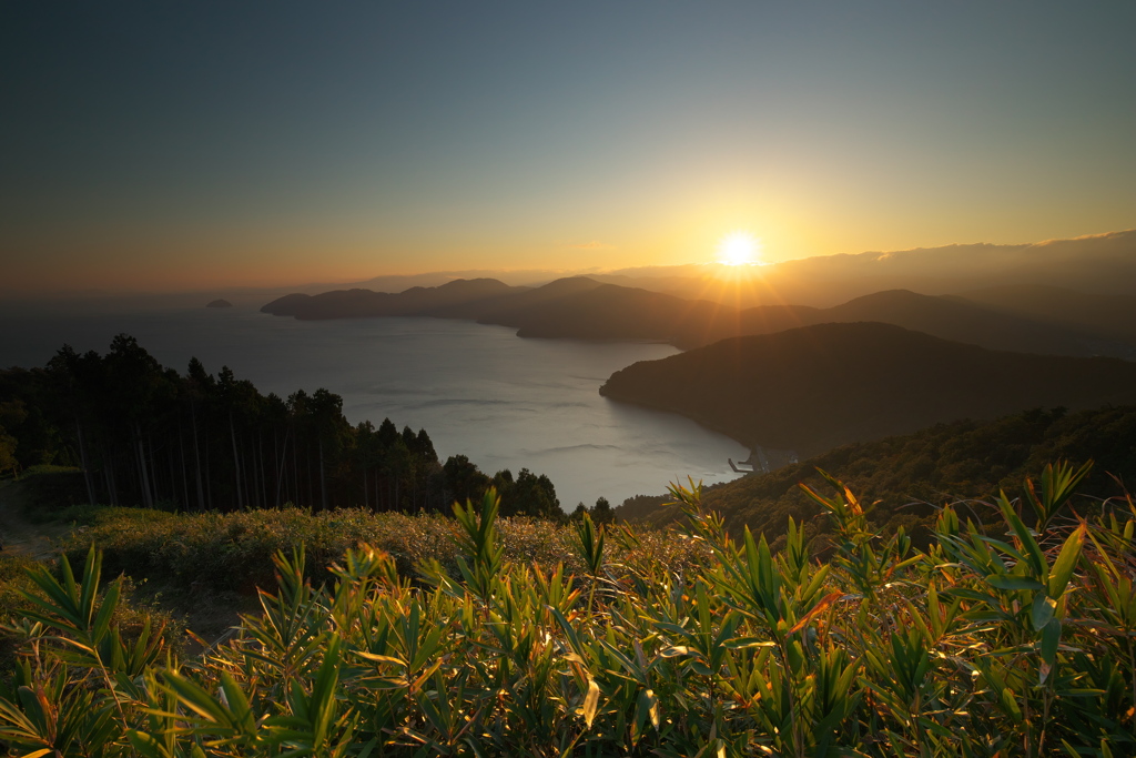 夕日独占！