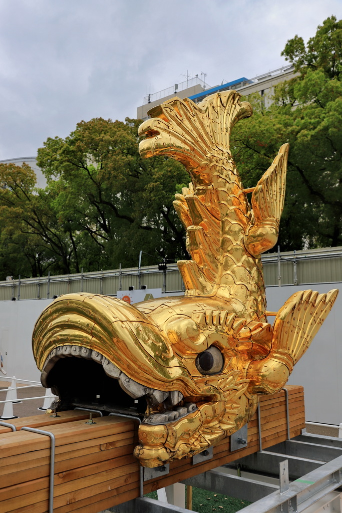 金シャチ