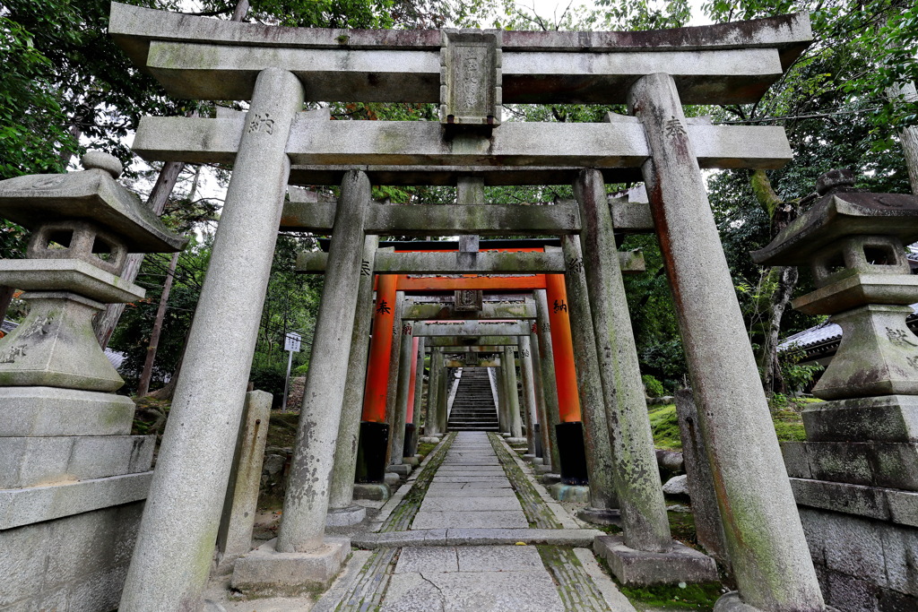 東福寺11