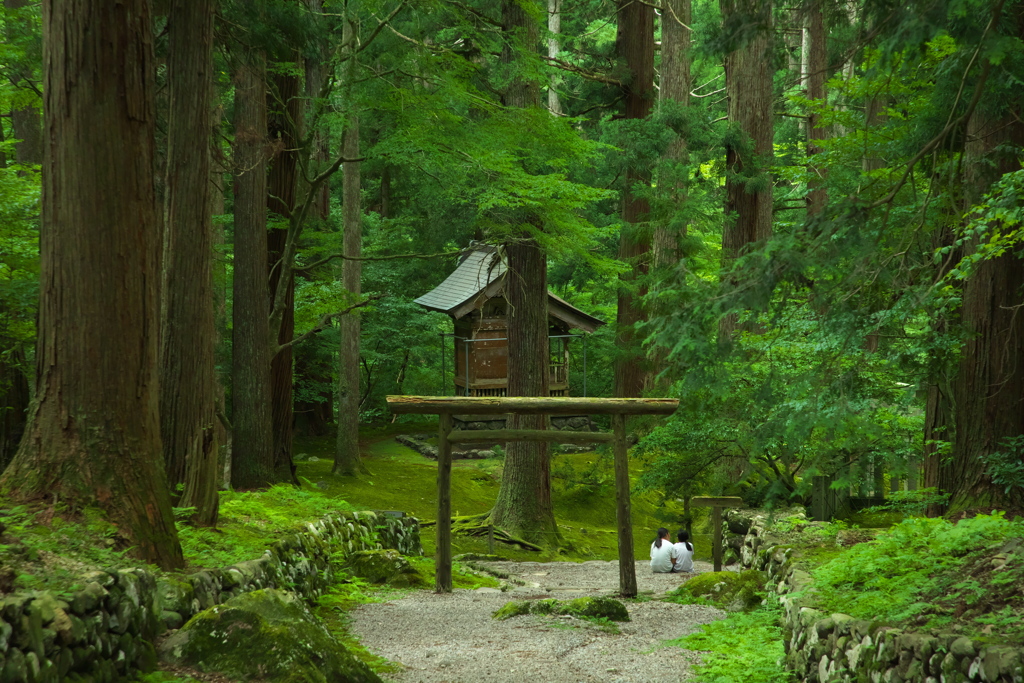 平泉寺白山神社