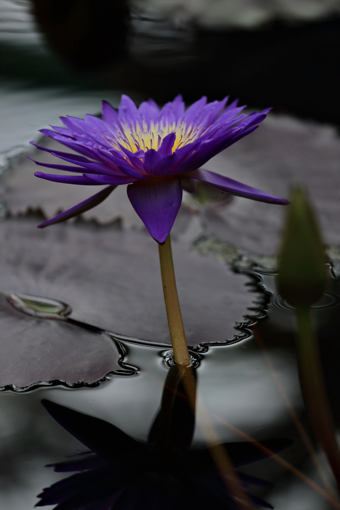 みずの森⑥