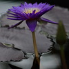 みずの森⑥